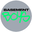 BASEMENT BOYS logo