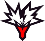 Team Yandex logo