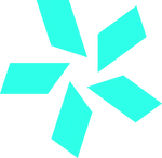 TEAM VISION logo