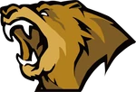 Lynn Vision logo