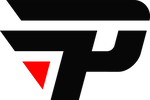 paiN logo