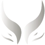 Xtreme Gaming logo